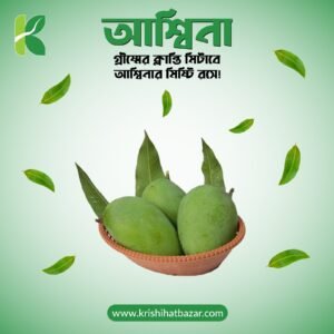 আশ্বিনা (Asshina)