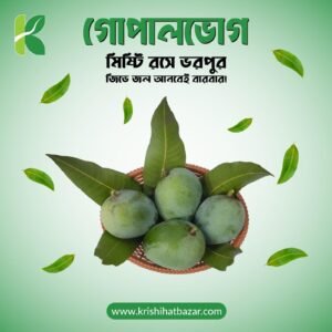 Gopalvog (গোপালভোগ)