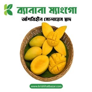 ব্যানানা ম্যাংগো (Banana Mango)