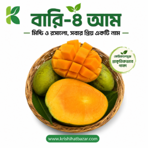 বারি-৪ আম (BARI-4 Mango)