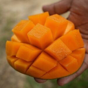 বারি-৪ আম | ৫ কেজি (BARI-4 Mango) - Trial Packege