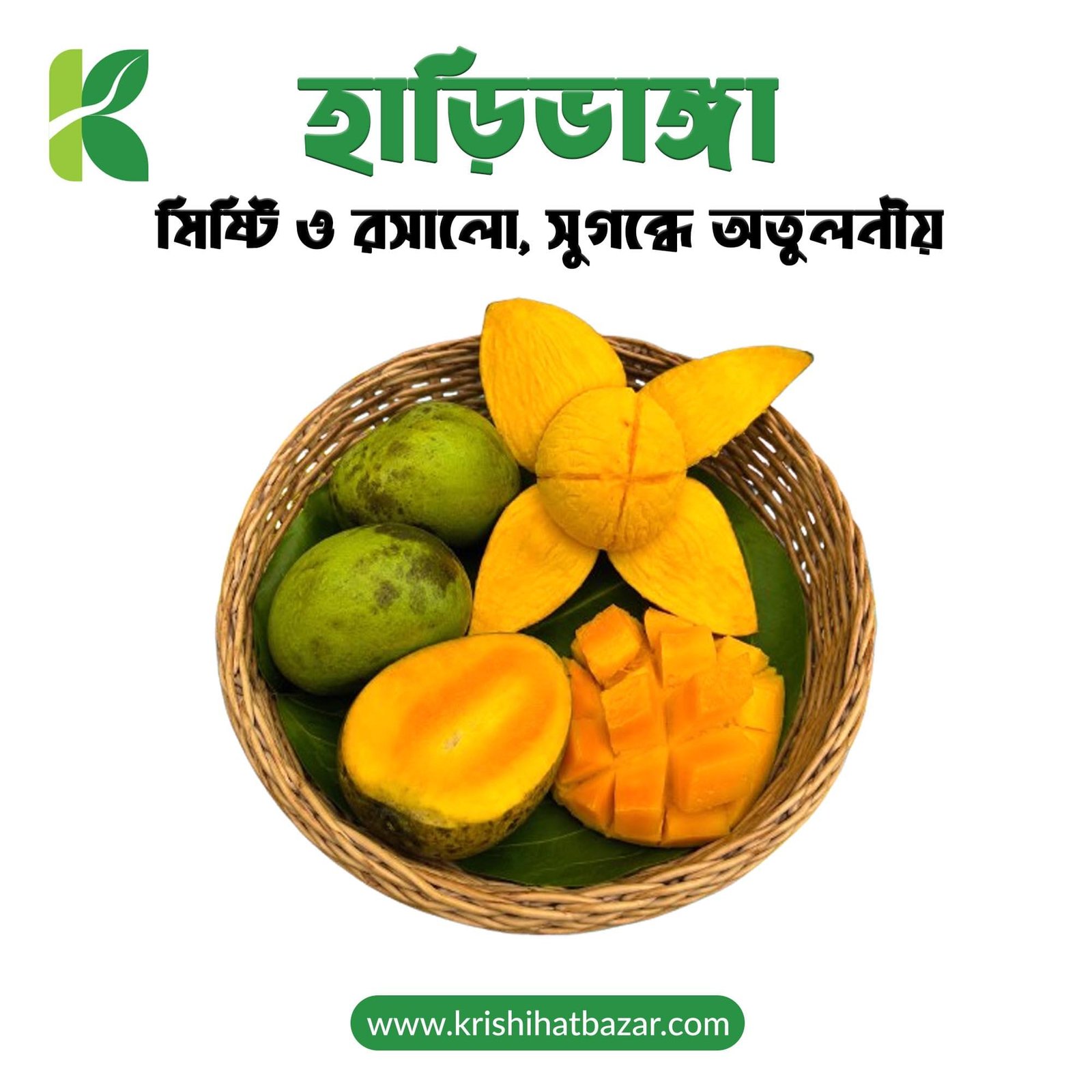হাড়িভাঙ্গা (Haribhanga)